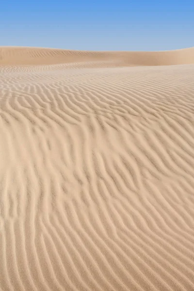Песчаная дюна пустыни — стоковое фото
