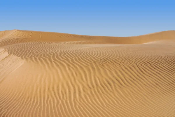 Sanddynen i öknen — Stockfoto