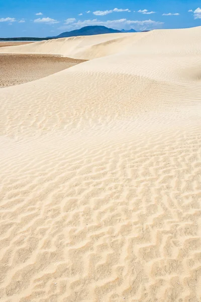 Zandduinen in de buurt van het meer anoniem — Stockfoto