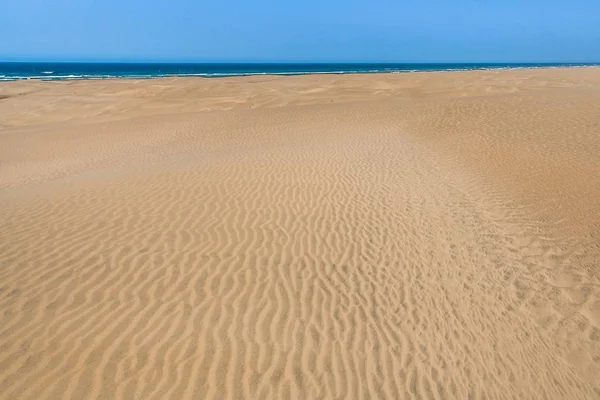 Dunes de sable plongeant dans la mer — Photo