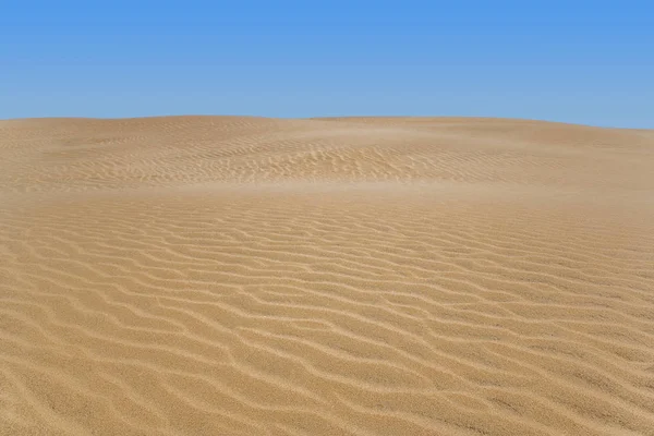 Песчаная дюна пустыни — стоковое фото