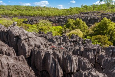 ankarana, Kuzey Madagaskar tsingy