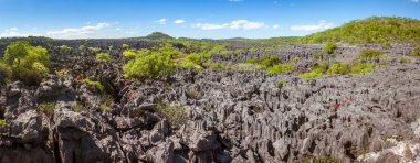 ankarana, Kuzey Madagaskar tsingy