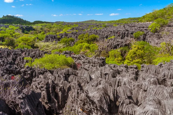 Ankarana 马达加斯加岛北部 Tsingy — 图库照片