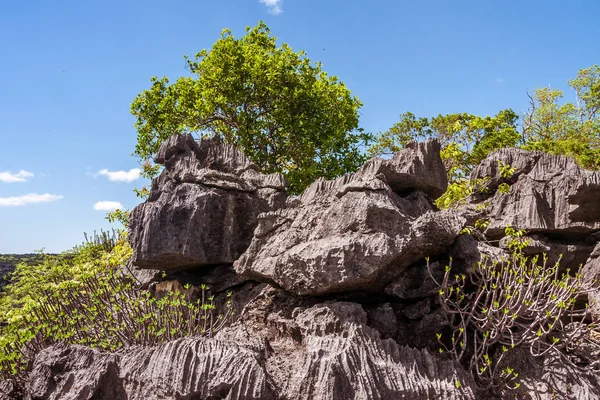 Tsingy Ankarana Norte Madagascar — Foto de Stock