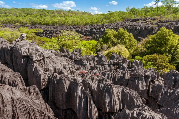 Tsingy Van Ankarana Noord Madagascar — Stockfoto