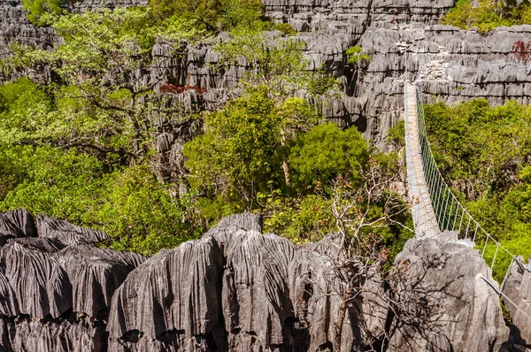 Kładka Tsingy Ankarana Północnym Madagaskarze — Zdjęcie stockowe
