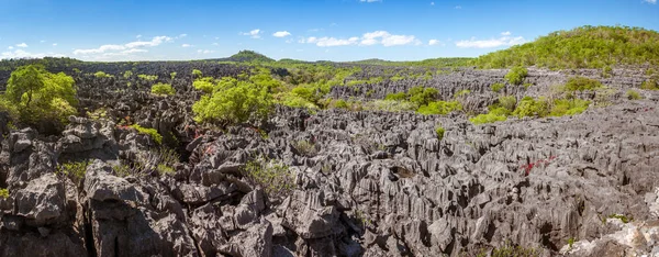 Tsingy Ankarana Norte Madagascar — Foto de Stock