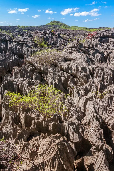 Tsingy Ankarana Northern Madagascar Royalty Free Stock Photos