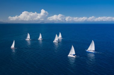 Regatta