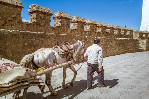 Transporte a caballo — Foto de Stock