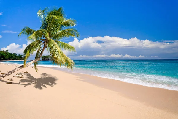 Deserted island — Stock Photo, Image