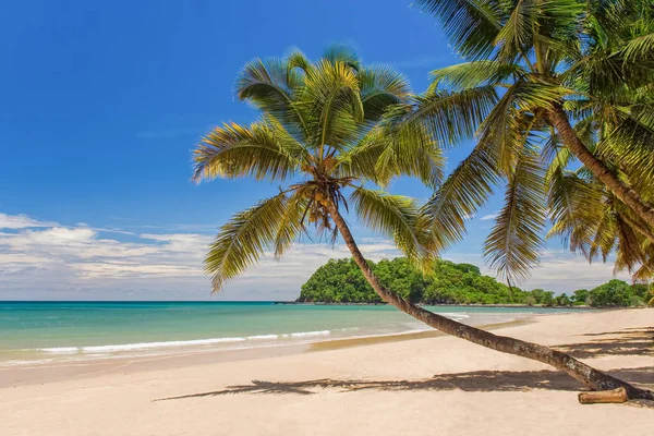 Тропічний пляж — стокове фото