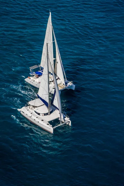 Catamarans zeilen — Stockfoto