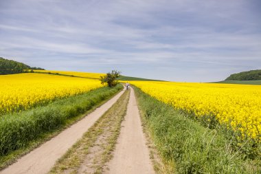Birbirine aşık çift