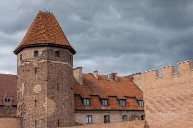 Töton Şövalyeleri Malbork Castle.