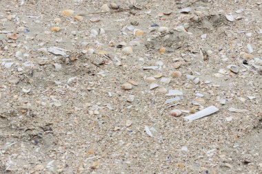 doğal kumlu arka plan