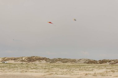 Dunes Romo island - Danimarka.