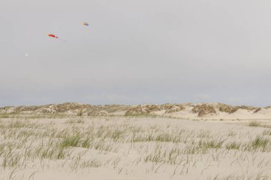 Dunes Romo island - Danimarka.