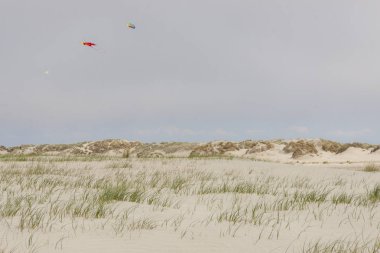 Dunes Romo island - Danimarka.