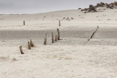 Dunes Romo island - Danimarka.