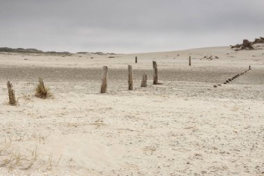 Dunes Romo island - Danimarka.