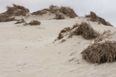 Dunes Romo island - Danimarka.