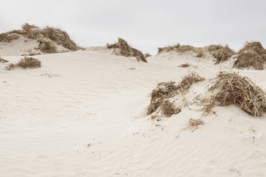 Dunes Romo island - Danimarka.