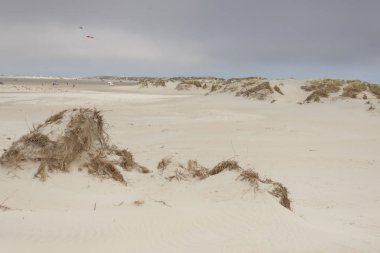 Dunes Romo island - Danimarka.