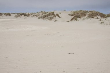 Dunes Romo island - Danimarka.