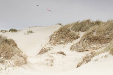 Dunes Romo island - Danimarka.