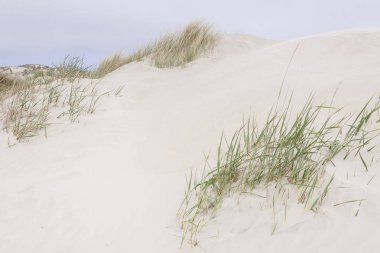 Beach Romo island - Danimarka