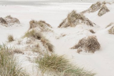 Beach Romo island - Danimarka