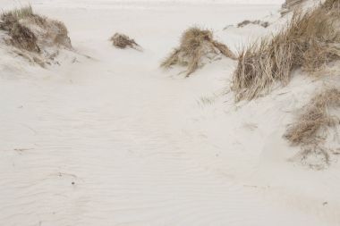 Dunes Romo island - Danimarka.
