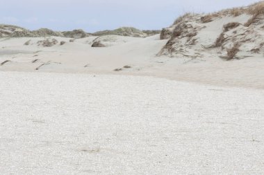 Dunes Romo island - Danimarka.