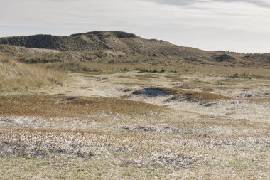 Dunes üzerinde Holmsland Klit Danimarka.