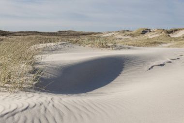 Dunes üzerinde Holmsland Klit Danimarka.