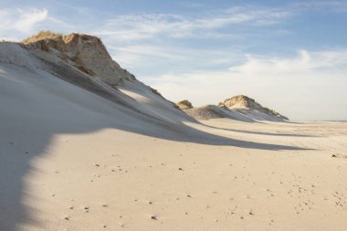 Sandy beach - Holmsland Klit, Denamrk.