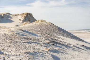 Sandy beach - Holmsland Klit, Denamrk.