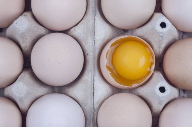 yumurta - üstüne yumurta sarısı ile kırık bir tane grup. 