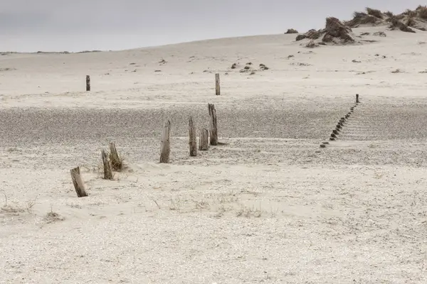 Dunes Romo island - Danimarka.