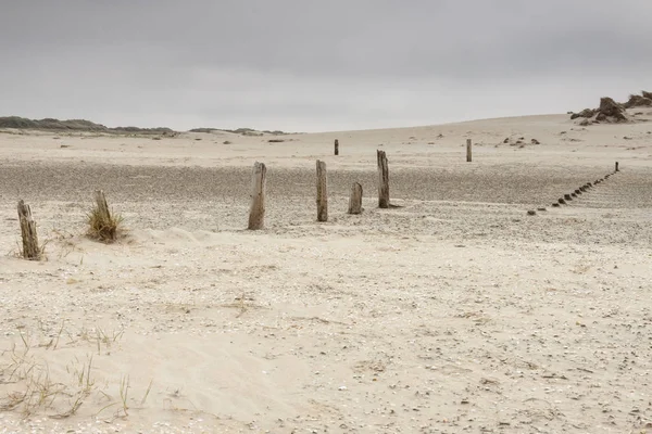 Dunes Romo island - Danimarka.