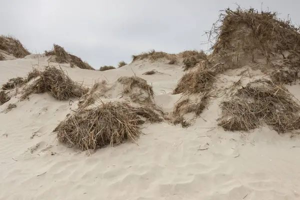 Dunes Romo island - Danimarka.