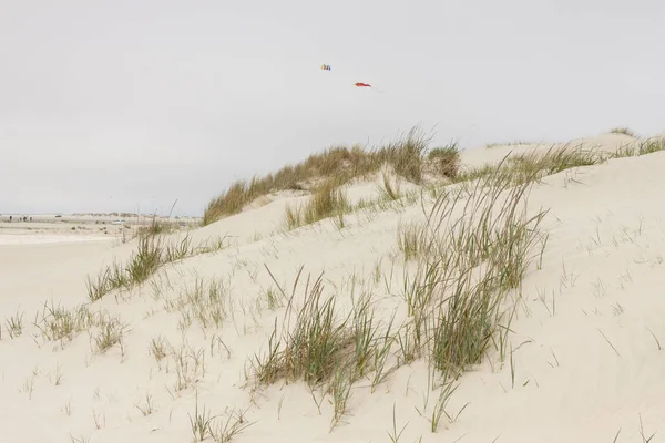 Dunes Romo island - Danimarka.