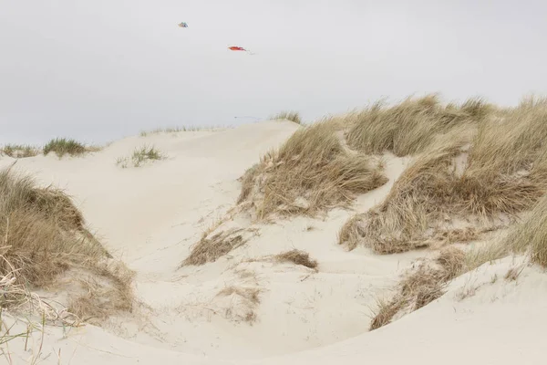 沙丘上罗莫岛 — — 丹麦. — 图库照片