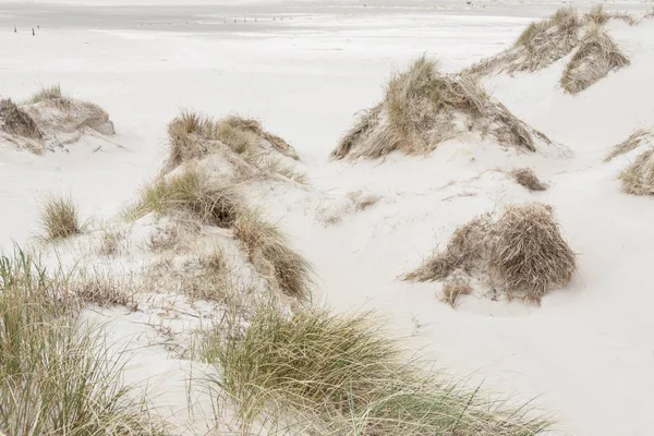 Beach Romo island - Danimarka