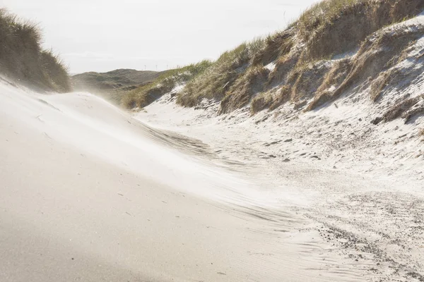 Sandy beach - Holmsland Klit, Denamrk.