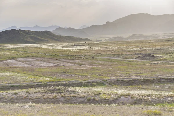 Prairies près de Dogubayazit - Turquie . — Photo