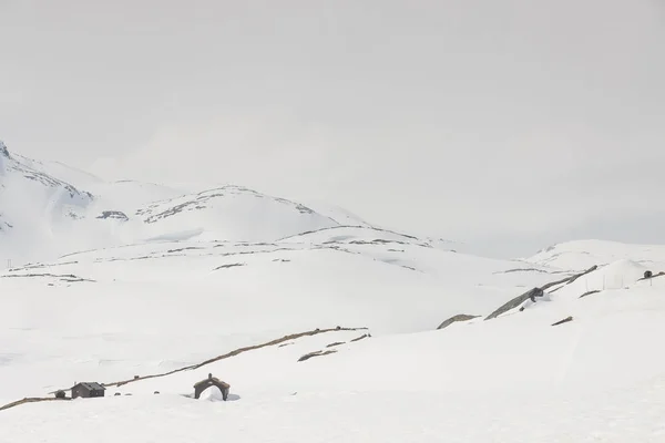 Casa de campo de madeira sob neve - Noruega . — Fotografia de Stock