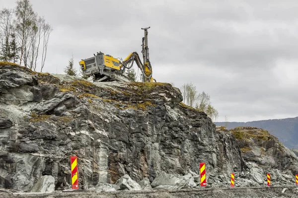 Planta de construcción - Noruega — Foto de Stock